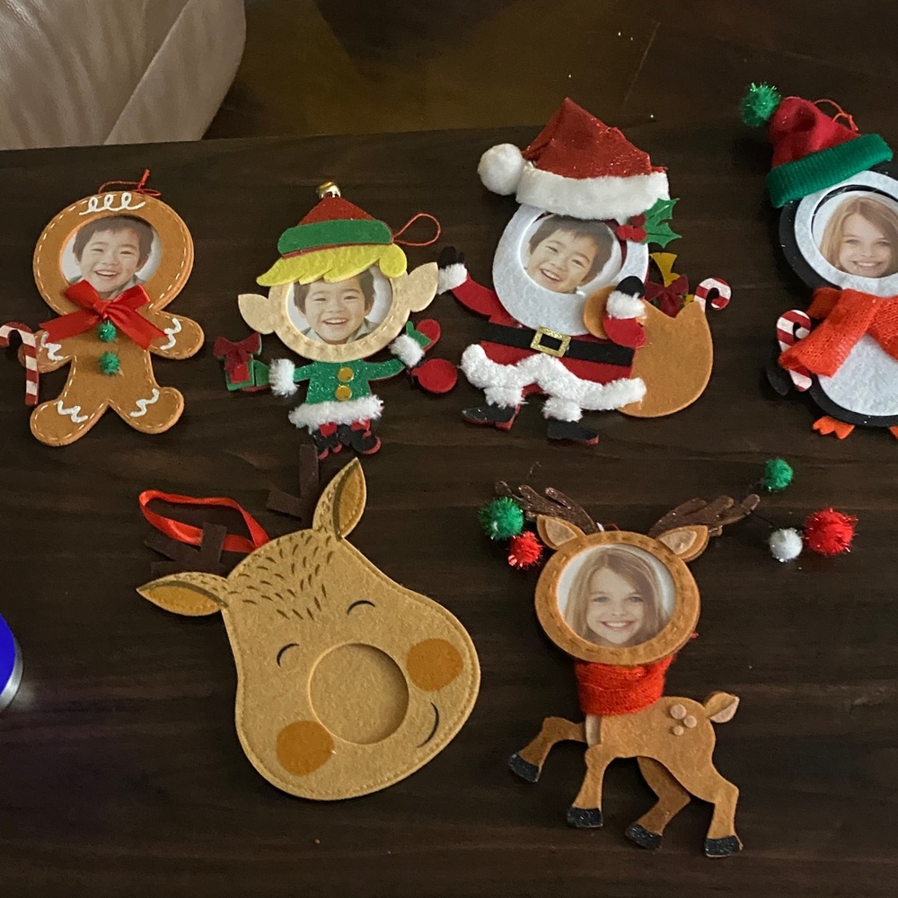 Studio Decor Holiday Photo Ornaments - Brown, Red, Green